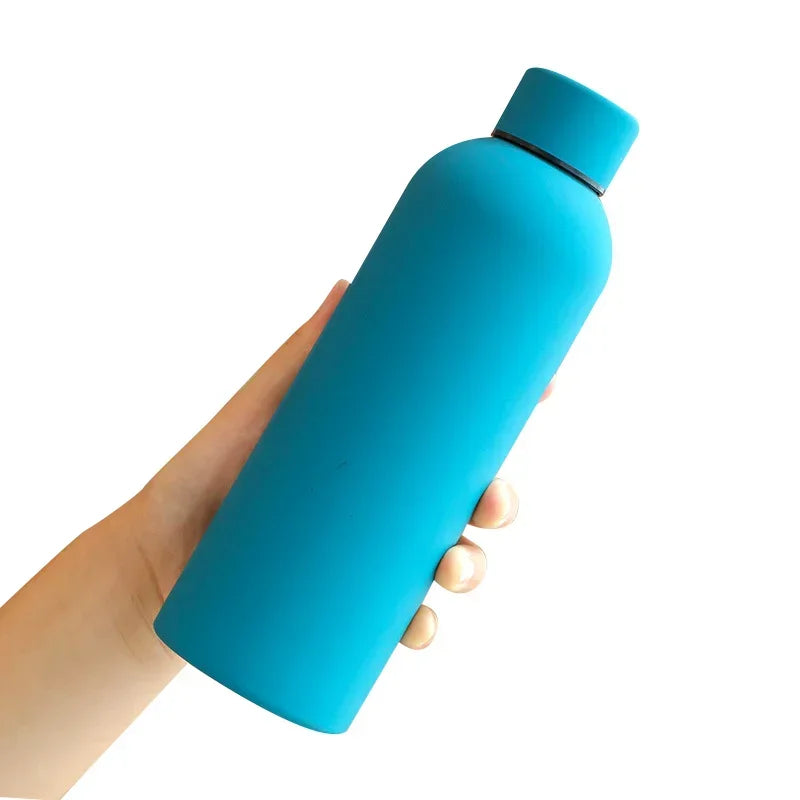 Insulated Stainless Steel Water Bottle