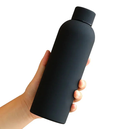 Insulated Stainless Steel Water Bottle