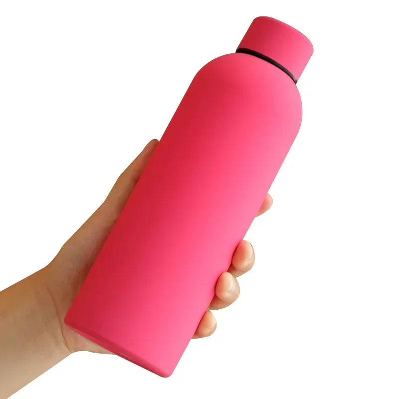 Insulated Stainless Steel Water Bottle